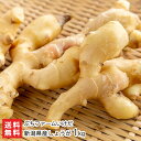 新潟県産しょうが 1kg ぷちファームいけだ 新潟直送計画 ショウガ 生姜 薬味新潟県 生産者直送 お取り寄せ ギフト プレゼント 贈り物 送料無料