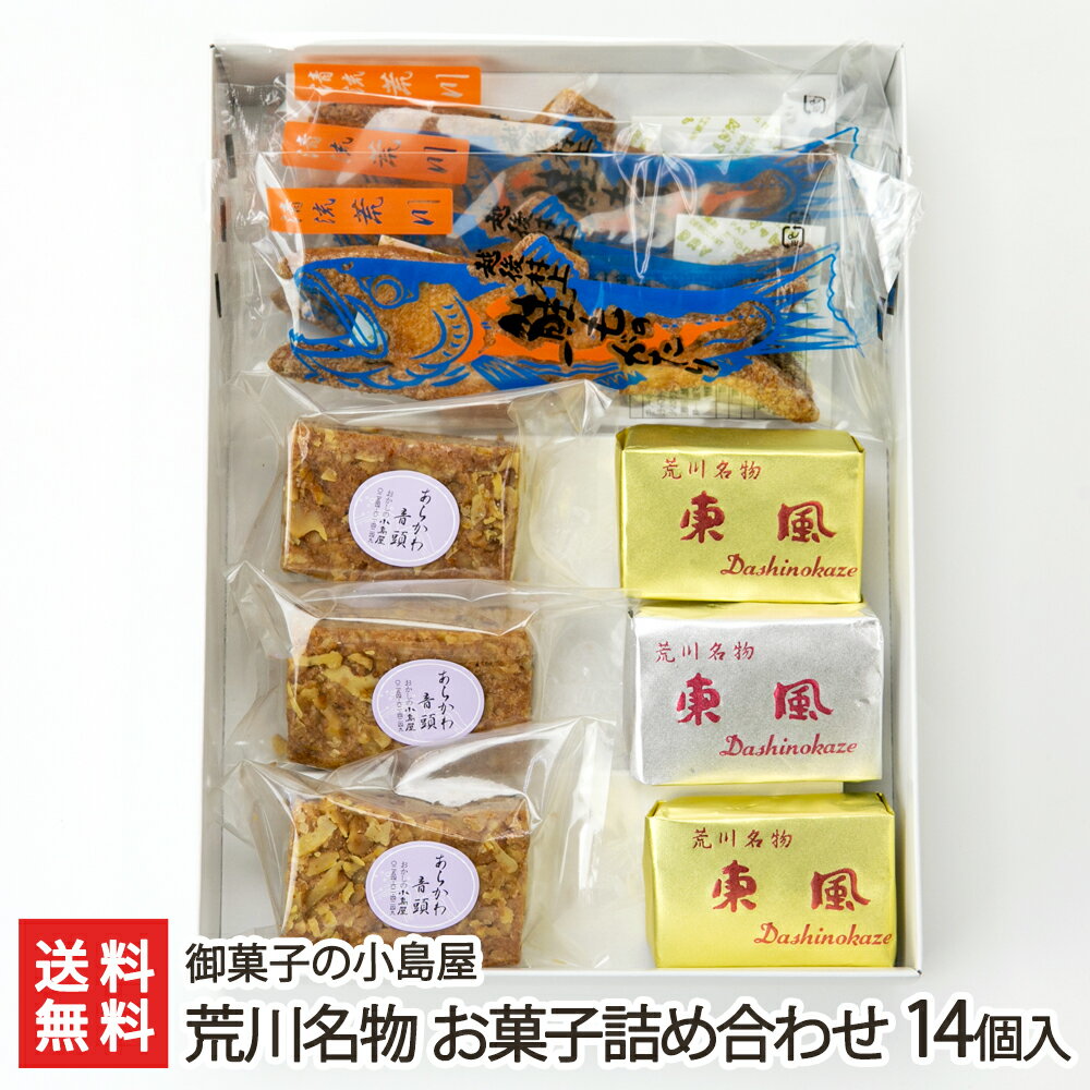 荒川名物 お菓子詰め合わせ 14個入り（鮭ものがたり×5個・東風×6個・荒川音頭×3個） 御菓子の小島屋 生産者直送 送料無料【洋菓子 焼き菓子 鮭味噌 だしのかぜ ブラウニー パイ菓子 お持たせ 手土産 ティータイム おやつ ギフト 新潟産 】