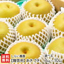 【贈答用】あきづき「3kg」or「5kg」or「10kg」 しらい農園【新潟県産/和梨/なし/ナシ/アキヅキ】【お土産/手土産】【送料無料】