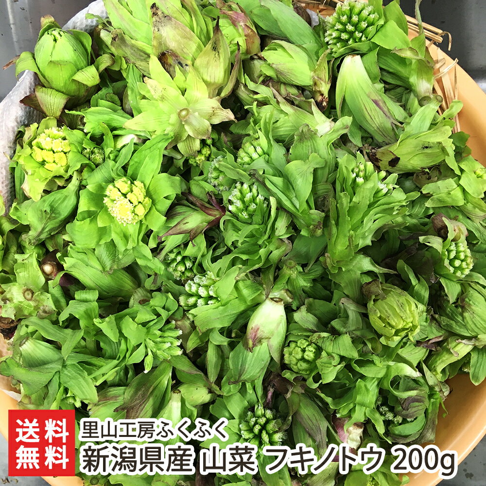 新潟県産 山菜 フキノトウ 200g 里山工房ふくふく 産地直送 送料無料【新潟直送計画 採れたて直送 新鮮 鮮度抜群 天ぷら ふきのとう味噌】