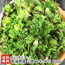 新潟県産 山菜 フキノトウ 200g 里山工房ふくふく 産地直送 送料無料【新潟直送計画 採れたて直送 新鮮 鮮度抜群 天ぷら ふきのとう味噌】