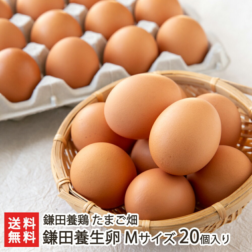 新潟地鶏卵 鎌田養生卵 Mサイズ 20個入 鎌田養鶏 たまご畑 生産者直送 送料無料【鶏卵 玉子 たまご タマゴ 新鮮 濃厚卵白 アニマル・ウェルフェア 新潟 刈羽】お中元ギフトにも！