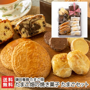 たまご畑の焼き菓子 たまごセット 鎌田養鶏 たまご畑 生産者直送 送料無料【サブレ クッキー バニラ ショコラ パウンドケーキ 菓子 詰め合わせ ギフト 新潟】お歳暮ギフトにも！