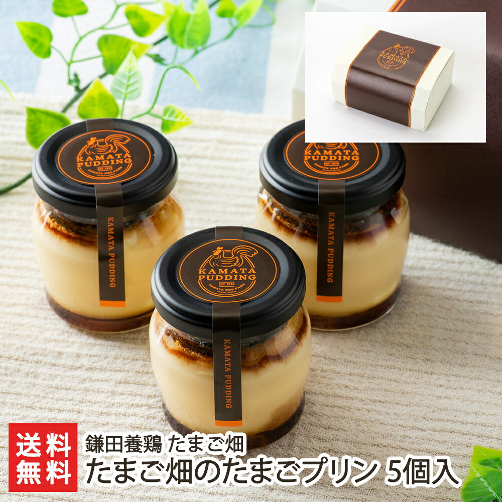 たまご畑のたまごプリン 5個入り（ジャム付）鎌田養鶏 たまご畑 生産者直送 送料無料【スイーツ 洋菓子 プディング ギフト 新潟】母の日ギフトにも！のサムネイル