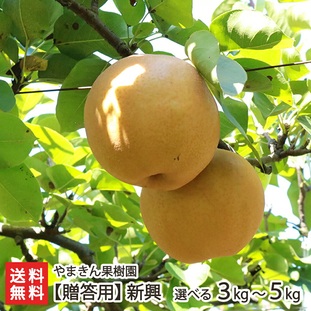 楽天市場】新甘泉 5kgの通販
