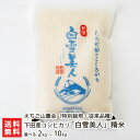 令和6年度産米 特別栽培米(減農薬・減化学肥料)下田産コシヒカリ「白雪美人」(従来品種)精米 選べる「2kg」or「5kg」or「10kg」 えちご山農会 新潟県産 こしひかり ライス 白米 新潟県 生産者直送 お取り寄せ ギフト プレゼント 贈り物 送料無料
