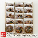 2025 お中元 御中元 夏ギフト サンクフォンテーヌ(焼き菓子)15個入 渡六菓子店 生産者直送【洋菓子/詰め合わせ/おやつ/お茶うけ/新潟/わたろく/五泉市...
