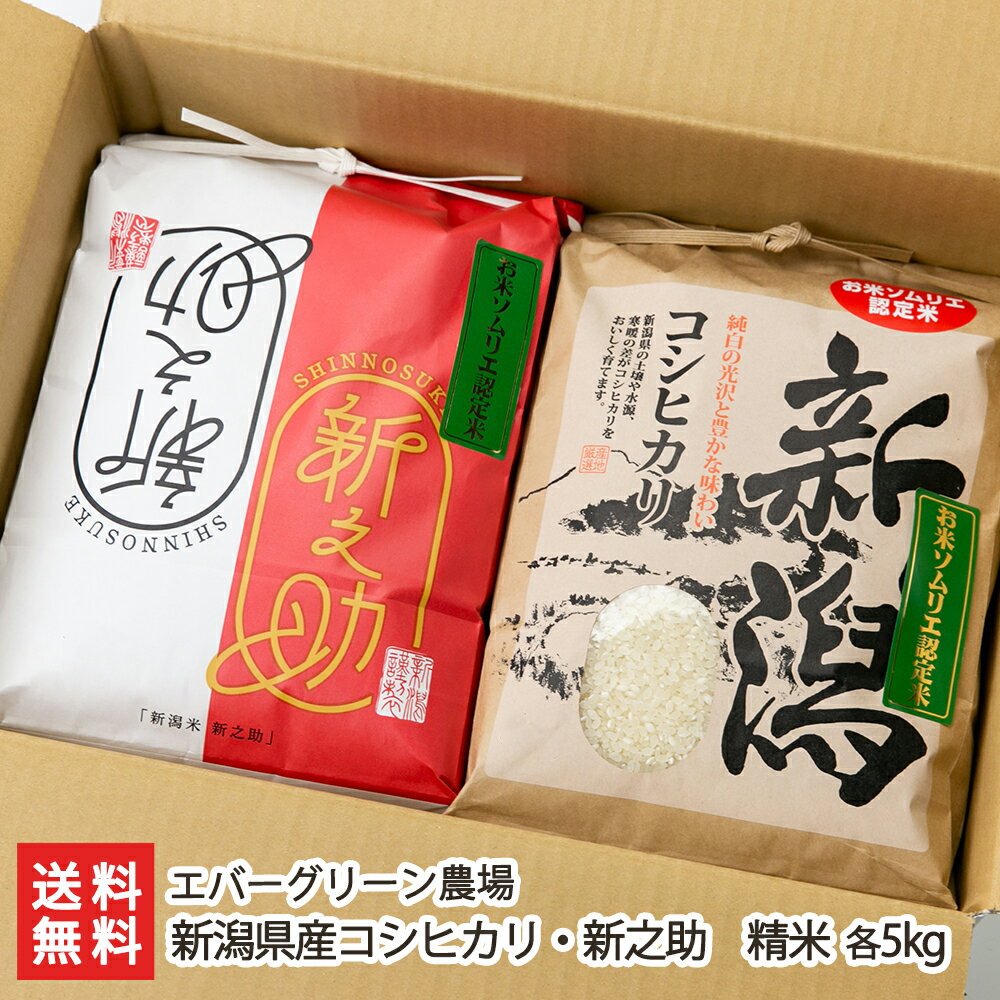 【令和5年度米】新潟県産コシヒカリ・新之助 精米 各5kg（各5kg×1袋） エバーグリ...