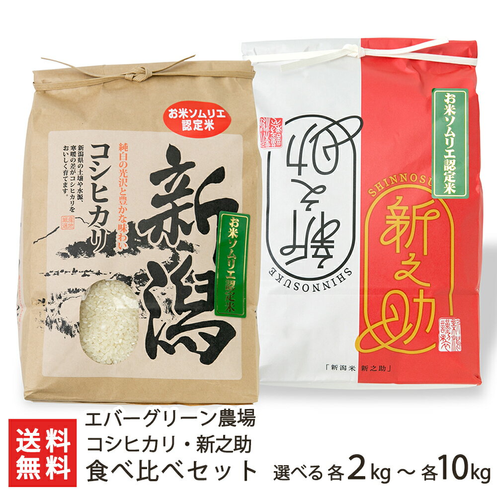 【令和7年度新米】新潟県産 コシヒカリ ・ 新之助 精米 選べる 各2kg 5kg 10kg エバーグリーン農場 こしひかり しんのすけ ライス 白米 五泉市 ...