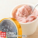 商品説明 内容 越後姫のジェラート 10個入り 内容量 1個あたり120ml 配送方法 ヤマト運輸（クール冷凍便） 保存方法 冷凍保存 返品交換 生鮮品・食品などの商品の性質上、返品・交換はお受けできません。 ただし、配送中の事故により、お届けした商品に傷みや破損がある場合や、到着した商品がお申込み頂いた商品と異なっていた場合には、返品・交換を承ります。 ご連絡は商品到着日・並びに翌日以内にお願い致します。 生産者 斉藤いちご園 のし・包装サービス 場所 外のし(簡易包装) 形状 普通のし 表書き 寿(紅白結びきり) / 寿(紅白蝶結び) / 御祝(紅白結びきり) / 御祝(紅白蝶結び) / 御中元 / 御歳暮 / 御年賀/ 粗品 / 内祝(紅白結びきり) / 内祝(紅白蝶結び) / 御礼(慶事) / 無地のし(慶事) / 暑中御見舞 / 残暑御見舞 / 寒中御見舞 / 御見舞 / 快気祝 / 御新築祝 名入れ 対応可能 関連商品リスト 斉藤いちご園の商品一覧へ 通販/産地直送/新潟名物/産直/新潟県産/新潟産/母の日/父の日/敬老の日/こどもの日/子供の日/お中元/御中元/お歳暮/御歳暮/お年賀/御年賀/ご挨拶/香典返し/バレンタインデー/ホワイトデー/ハロウィン/贈り物/贈答用/プレゼント/ギフト/プチギフト/のし/熨斗/のし無料/熨斗無料/送料無料/おみやげ/お土産/包装/ラッピング/特産品/名物/端午の節句/暑中見舞い/暑中御見舞/残暑見舞い/残暑御見舞/寒中見舞い/寒中御見舞/内祝い/御祝い/逸品/誕生日祝い/誕生日御祝/還暦祝い/米寿/お取り寄せグルメ/入学祝い/入学御祝/合格祝い/合格御祝/引っ越し祝い/引っ越し御祝/快気祝い/快気内祝/ご当地グルメ/B級グルメ/老舗の味/ご自宅用/クリスマス/イベント/引出物/上司/同僚/七五三/ひな祭り/成人の日/成人式/お返し/寿/御見舞/越後/出産祝い/出産内祝/贈答品お間違えのないようご注意下さい 越後姫のジェラート・シャーベット 斉藤いちご園の商品一覧 斉藤いちご園の商品一覧へ