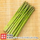 新潟県産 グリーンアスパラガス Lサイズ1kg(500g×2袋) 飯塚農園【採れたて/新鮮/ジューシー/三条市】【お土産/手土産】【送料無料】