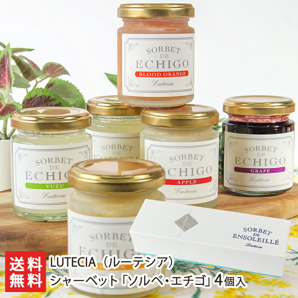 シャーベット「ソルベ・エチゴ」 4個入 LUTECIA（ルーテシア） 生産者直送【代金引換決済不可】【常温でお届け・到着後冷凍】【洋菓子 おやつ お茶うけ新潟産】【お土産/手土産/プレゼント/ギフトに！贈り物】【送料無料】 父の日 お中元