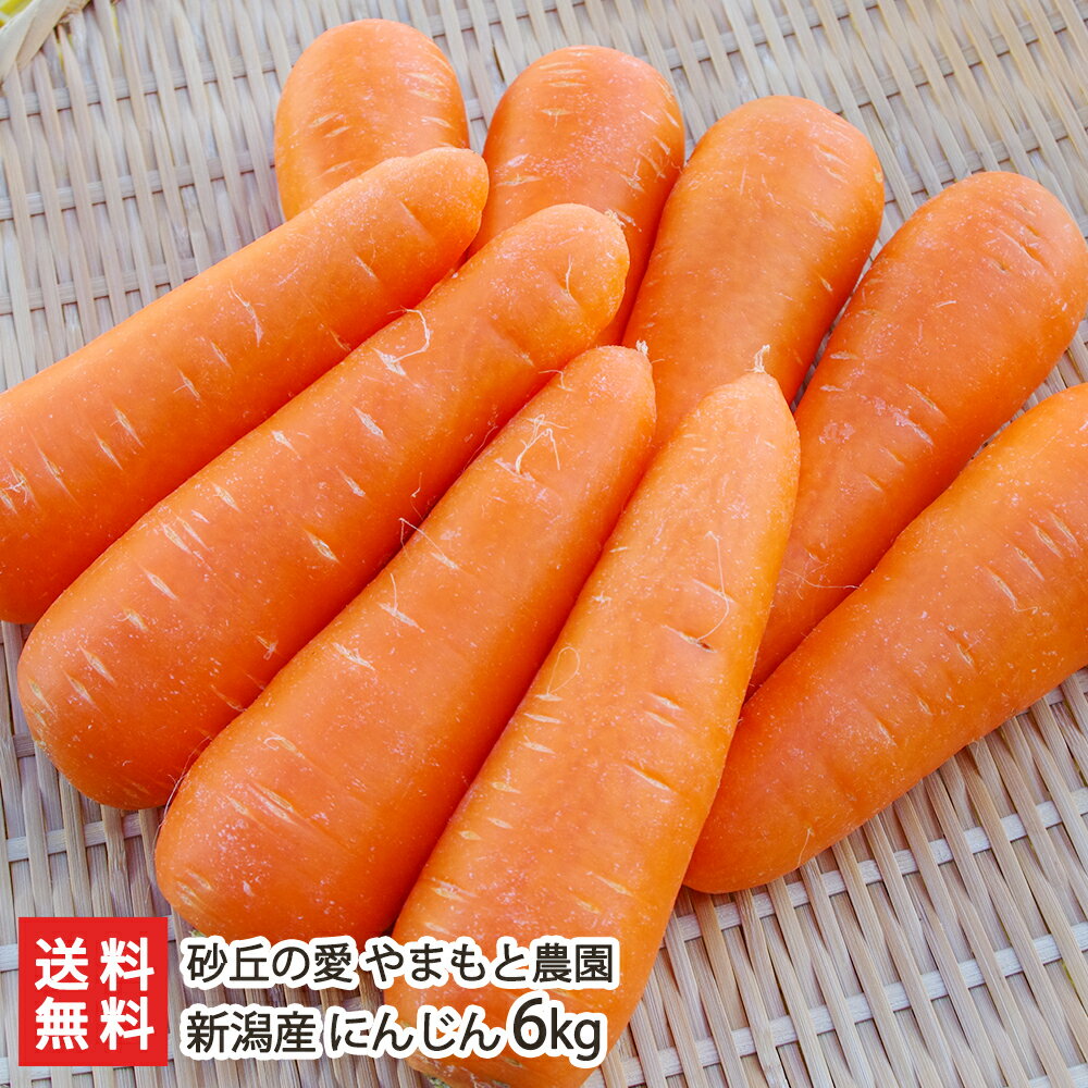 新潟産 にんじん 6kg 砂丘の愛 やまもと農園 【新潟直送計画/人参/ニンジン/生食/砂丘地/天ぷら/サラダ..