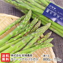 新潟県産 グリーンアスパラガス 選べる 800g ~ 1.2kg 株式会社 蛇場農産 みずみずしい 甘み やわらか 朝採れ 新鮮 おひたし ソテー 肉巻き 新潟産 生産者直送 お取り寄せ ギフト プレゼント 贈り物 代金引換決済不可 父の日 お中元