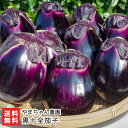 黒十全茄子「20個入り」or「35個入り」 やまちゃん農園【代金引換決済不可】 【なす/ナス/黒いダイヤモンド/希少品種/ジューシー/薄皮/漬け物/煮浸し】【お...