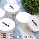 ミルクのカップアイス 6個入り 井上冷菓 【代金引換決済不可】【スイーツ/デザート/アイス/手作り/つづくミルク/三和牛乳】【お土産/手土産】【送料無料】