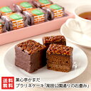 高田公園通りの石畳み「8個入り」or「10個入り」or「15個入り」 菓心亭かまだ【代金引換決済不可】【プラリネケーキ/洋菓子/チョコレート/杏ジャム/アーモン...