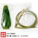 笹の葉 100枚入り(スゲ付き) 丸大大滝商店 【新潟直送計画/ささ/ササ/笹団子/ちまき/ちらし寿司/バラン/笹寿司】【お土産/手土産】【送料無料】