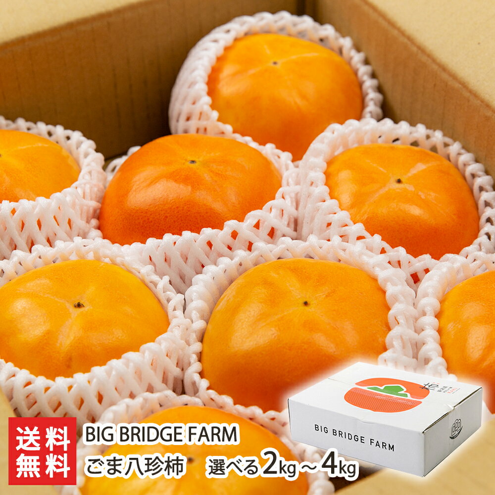 ごま八珍柿（種なし） 2kg or 4kg BIG BRIDGE FARM 柿 かき カキ 新潟産 果物 フルーツ 平核無新潟県 ..