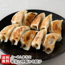 和玄の特製みそ餃子「12個入り」or「22個入り」 ら〜めん家 和玄【代金引換決済不可】【味噌/ぎょうざ/ギョーザ/惣菜/おかず/おつまみ】【お土産/手土産】【...