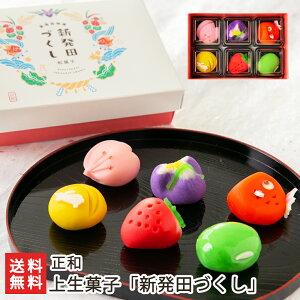 和菓子 新発田づくし「1箱」or「4箱」 正和【上生菓子/練り切り/練切/お茶菓子/お茶請け/ずんだ餡/桜餡/手作業/中餡/お盆/お彼岸】【お土産/手土産/ギフトに！贈り物】【送料無料】お歳暮ギフトにも！