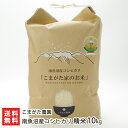 南魚沼産コシヒカリ「雪室熟成 こまがた家のお米」精米10kg こまがた農園