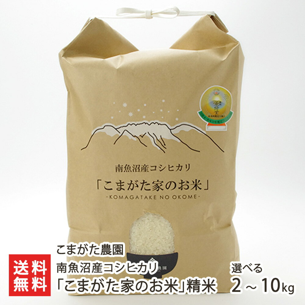 【令和7年度新米】南