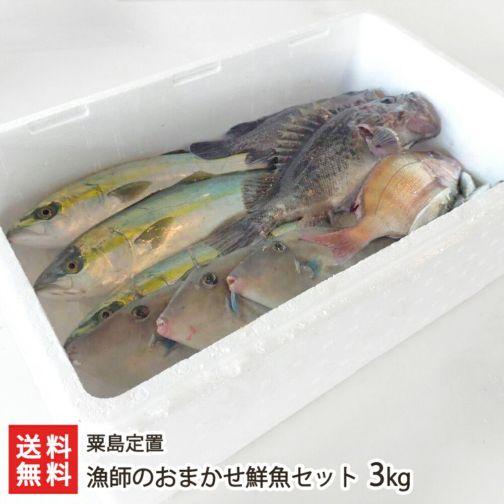 漁師のおまかせ鮮魚セット 3kg 粟島定置【代金引換決済不可