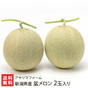 新潟県産 盆メロン 2玉入り アサツマファーム【代金引換決済不可】 【甜瓜/砂丘地メロン/朝採り/新鮮/お取り寄せグルメ】【お土産/手土産】【送料無料】
