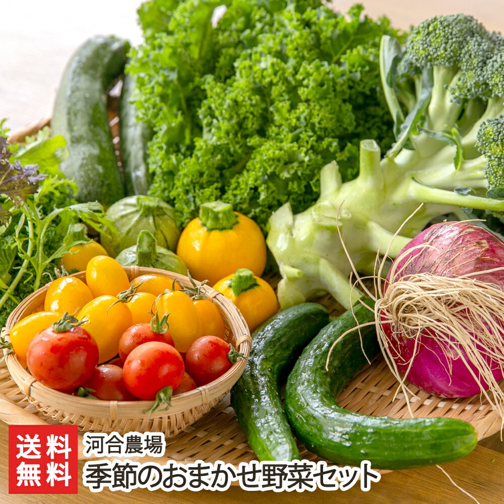 季節のおまかせ野菜セット 河合農場【詰め合わせ/彩り/目でも楽しめる野菜/鮮度抜群/産地直送】【お土産/手土産】【送料無料】 父の日 お中元