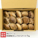 新潟県産 生しいたけ Lサイズ 1kg 秋山ファーム【代金引換決済不可】【椎茸/シイタケ/きのこ/キノコ】【お土産/手土産】【送料無料】お歳暮ギフトにも！