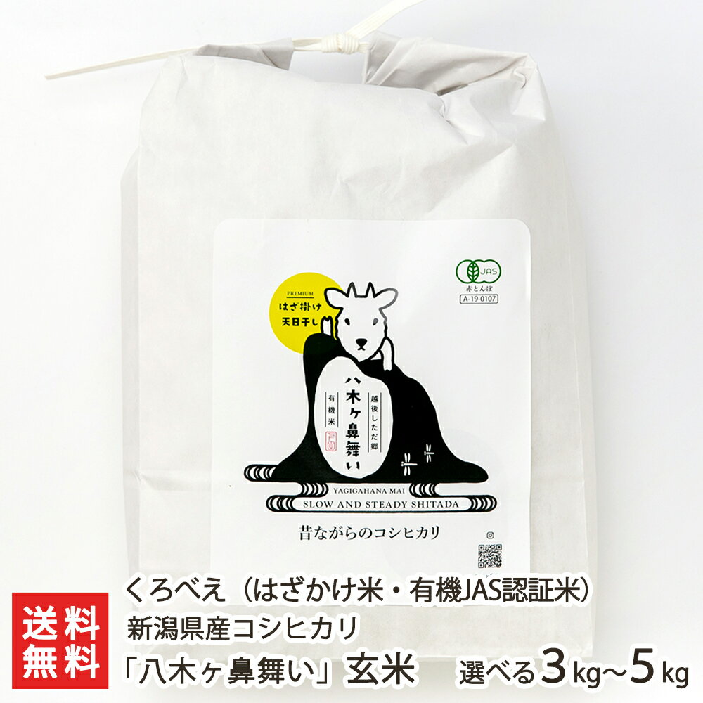 【令和5年度米】新潟