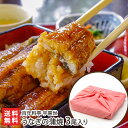 うなぎの蒲焼 3尾入り(うなぎの蒲焼×3パック、タレ×3本、山椒×3袋) 百年料亭 宇喜世【代金引換決済不可】 【うきよ/老舗/高級料亭/名物/炭火焼お取り寄せ...