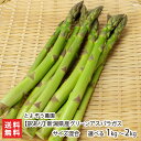 【訳あり】新潟県産 グリーンアスパラガス サイズ混合 選べる 1kg ~ 2kg とよぞう農園 アスパラ 燕市 朝採り 堆肥 有機質肥料 新鮮 グルメ 新潟県 生産者直送 お取り寄せ ギフト プレゼント 贈り物 代金引換決済不可 父の日 お中元
