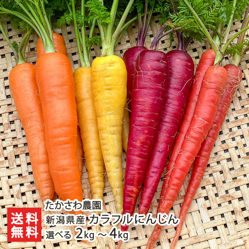 新潟県産 カラフルにんじん（オレンジ・赤・黄・紫にんじんの中から、3〜4種類をお届け） 選べる 2k ...