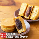 大判焼 選べる味6パターン 栄喜堂菓子店 【回転焼/今川焼/あじまん/おやき/小判焼/太鼓饅頭/太鼓焼/二重焼/上越市/お茶菓子/お茶請け/お菓子/おやつ/スイーツ/和菓子】【お土産/手土産】【送料無料】