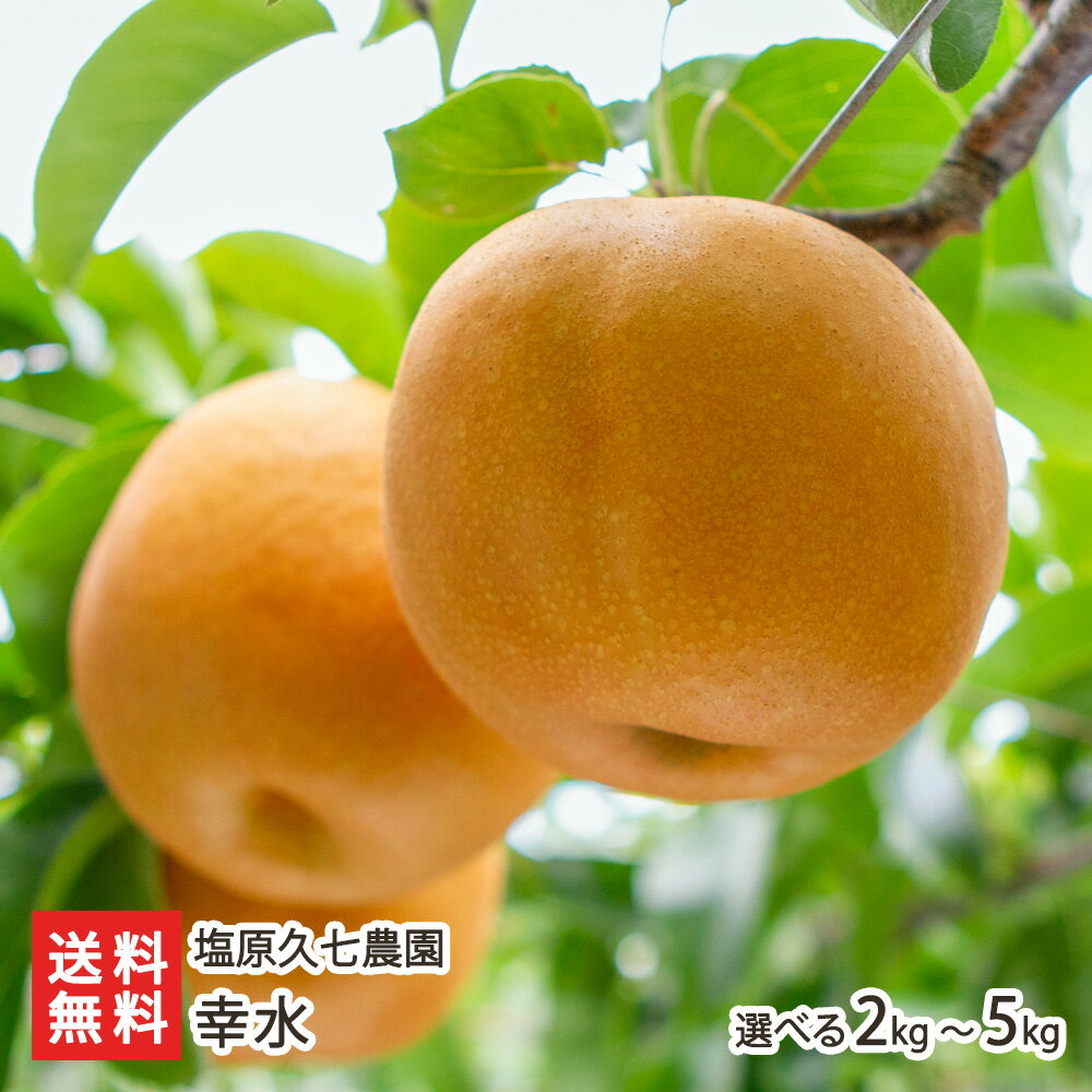 新潟県産 梨 幸水 2kg 〜 5kg 塩原久七農園 新潟県産 産地直送 和梨 なし ナシ こうすい コウスイ 代金引換決済不可 送料無料のサムネイル
