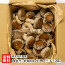 【家庭用】新潟県産 生しいたけ 500g 柳きのこ農園 新潟直送計画 椎茸 シイタケ きのこ キノコ 茸 新潟県 生産者直送 お取り寄せ ギフト プレゼント 贈...