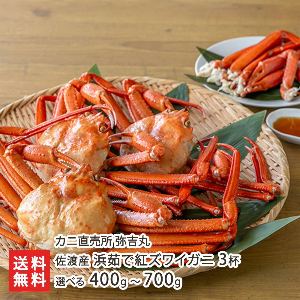 佐渡産 浜茹で紅ズワイガニ 3杯 選べる 400g 〜 700g カニ直売所 弥吉丸 姿 日本海 蟹 カニ 紅ズワイ蟹 冷凍 新潟県 生産者直送 お取り寄せ ギフト プレゼント 贈り物 代金引換決済不可 送料無料のサムネイル
