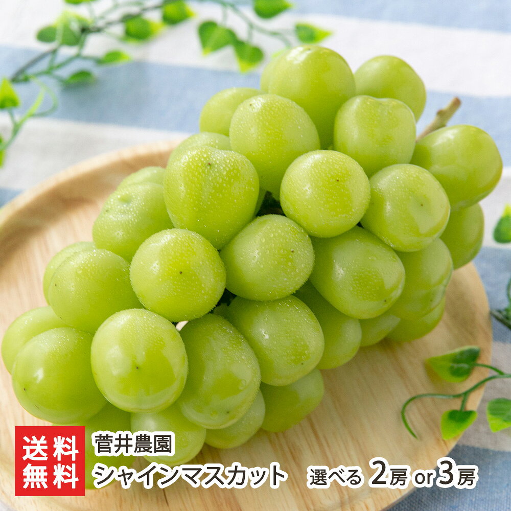 㥤ޥå٤2˼or3˼ޥåȥ֥ɥ֤ɤƺγ㸩ľ󤻥եȥץ쥼£ʪ̵