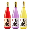 山田さんに贈る ギフト 選べる日本酒(純米大吟醸)・本格焼酎(純米酒粕) 【山田さんの酒】 送料無料 金箔入り720ml 専用化粧箱入り プレゼント 男性 女性...