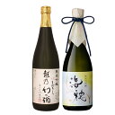お中元 夏ギフト 2025日本酒 飲み比べ ギフト 贈り物 プレゼント 男性 女性 上司【純米吟醸 越乃幻の酒】×【純米大吟醸 海穂】720ml×2本セット 退...