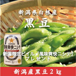 朝どり枝豆を直送!!【先着200セット】レビューを書いて新潟限定ビイル「風味爽快ニシテ」プレゼント！ ...