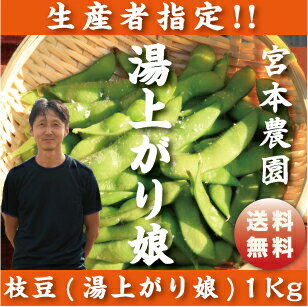 生産者指定！朝採りを直送!!【新潟県白根産】宮本農園の枝豆!!湯上がり娘1キロ