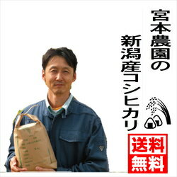 令和2年度産は9下旬から出荷予定！生産者指定！新潟産