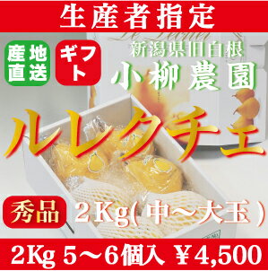 洋梨ルレクチェ　新潟県白根産　小柳農園のル・レクチェ秀品2キロ！中〜大玉,4〜6個入!!　11/25より出荷予定です！　ルレクチェ　洋ナシ　お歳暮　ギフト