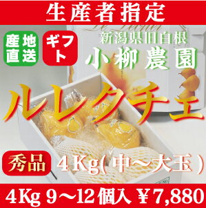 洋梨ルレクチェ　新潟県白根産　小柳農園のル・レクチェ秀品4キロ！中〜大玉,9〜12個入!!今年は11/28より出荷予定です！　ルレクチェ　洋ナシ　お歳暮　ギフト