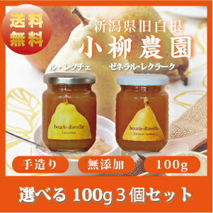 選べる！無添加！100g3　個送料無料！