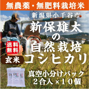 【無農薬・無肥料米・自然栽培】【玄米】生産者指定！自然栽培米!!新潟県魚沼産コシヒカリ「新保雄太の米」真空小分けパック2合×10個！　新潟　魚沼産　コシヒカリ　玄米のサムネイル