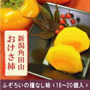 今が旬！！おけさ柿【ご自宅用】【16個〜20個入り】【送料込み】